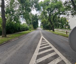 Wyleciał mi przed maskę