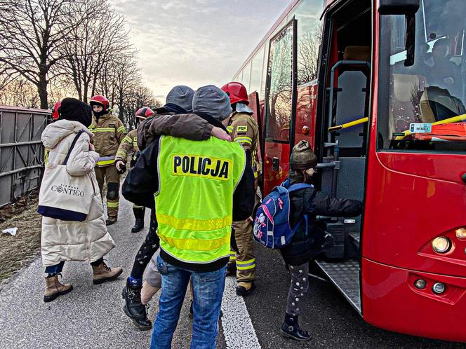 Kolonia Siedliszczki. Wypadek ukraińskiego autokaru z uchodźcami [ZDJĘCIA]