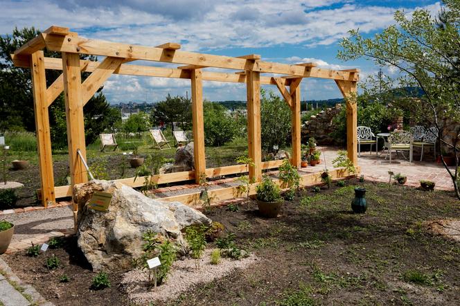 Ogród Botaniczny w Kielcach zaprasza do nowego, urokliwego zakątka