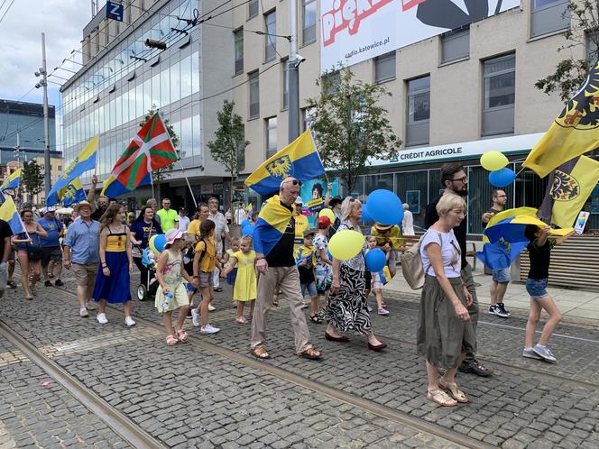 Marsz Autonomii Śląska przeszedł ulicami Katowic. "Hajmatu nie oddomy"