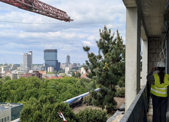 Pionowy lat w Katowicach na budynku Damrota Garden