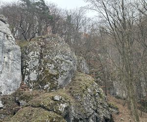 Najpiękniejsza wieś w Małopolsce zachwyca także jesienią. Leży na Szlaku Orlich Gniazd