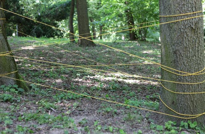 „Alfabet” rozgościł się w Ogrodzie Saskim w Lublinie