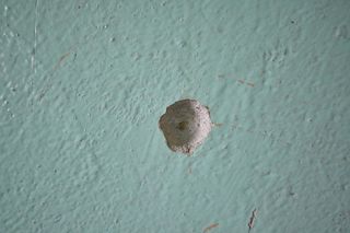 Pięć lat od tragicznej strzelaniny pod Płońskiem. Zabił byłą żonę, ranił jej kochanka i strzelił sobie w głowę