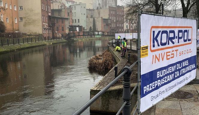 Wyspa Młyńska się zmienia. Rozpoczęły się prace nad Młynówką