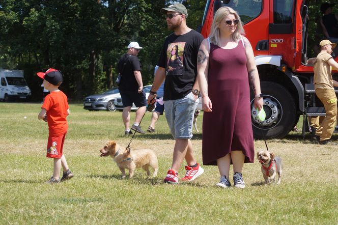 Psia radość i ludzkie serca. Myślęcinek pełen dobrych ludzi i ich czworonogów