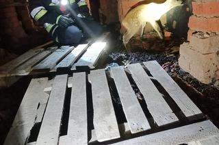 Mała sarenka utknęła w szambie