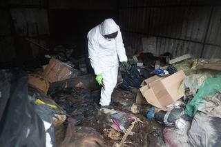 Potężna pseudohodowla pod Inowrocławiem! Zwierzęta cierpiały od lat