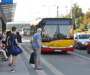 Najdłuższe i najkrótsze linie autobusowe w Kielcach. Gdzie kursują?