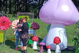 Męskie Granie 2024 we Wrocławiu. Mroza porwał tłum. Czegoś takiego jeszcze nie było! [RELACJA, ZDJĘCIA]