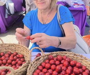 42. Festiwal Taste of Polonia w Chicago