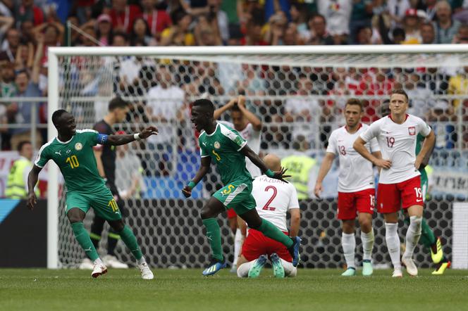Pierwszy mecz Polaków na Mundialu w Rosji. Mecz Polska - Senegal