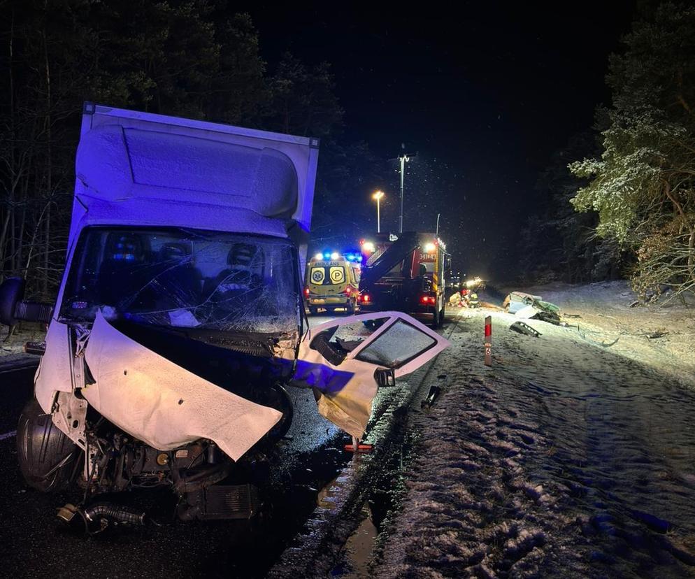 Policja szuka świadków masakry na DK 10 pod Toruniem!