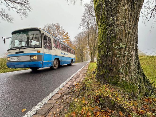 Pancerny Zbyszek" miał furę szczęścia. "Przysnąłem i palnąłem w drzewo"