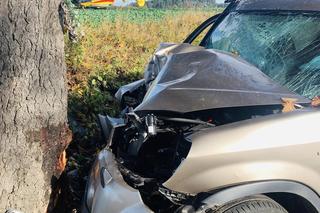 Rozbite auto przy drodze, a w środku nieprzytomny kierowca! Dramat na drodze pod Mogilnem [ZDJĘCIA] 