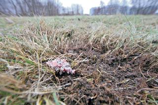 Ostrożnie z fajerwerkami!