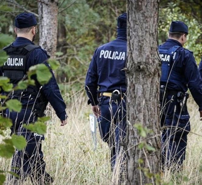 Poszukiwania zaginionego w lesie