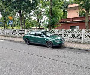 Wyleciał mi przed maskę