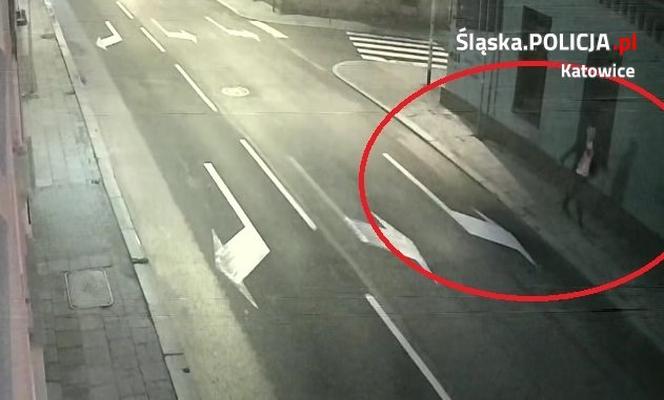 Katowice: Ukradł drzewo w centrum miasta. Policjanci poszukują tego mężczyzny