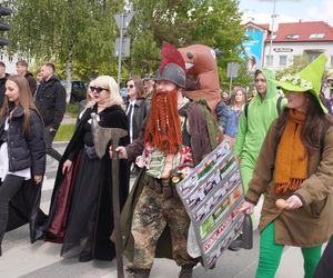 Juwenalia 2025 w Kielcach. Najciekawsze przebrania