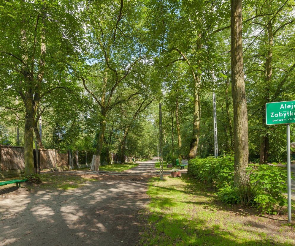 Podkowa Leśna, czyli mazowieckie Miasto-Ogród