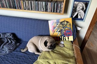 Muniek Staszczyk pokazał, jak mieszka. Uwielbiam tandetne pamiątki