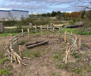 Serenity Park w Mysłowicach to nowe miejsce wypoczynku na Śląsku