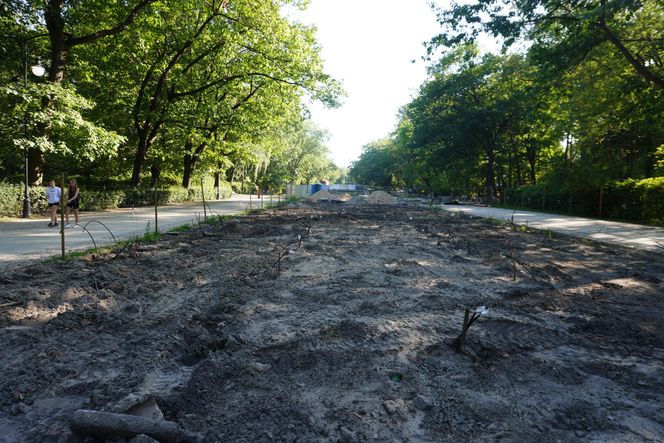 Rewitalizacja Parku Planty w Białymstoku latem 2025
