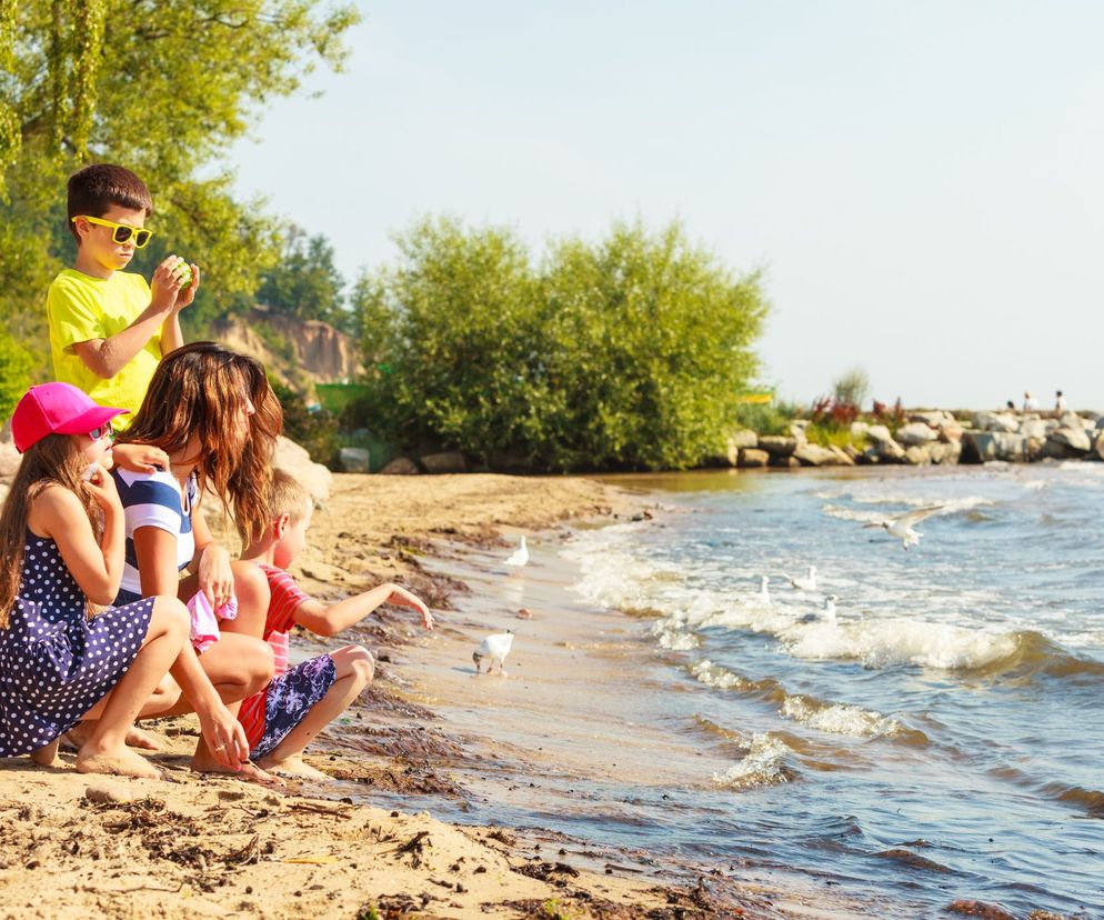 Bon wakacyjny - wersja ostateczna. WSZYSTKIE ZASADY. Nie trzeba składać wniosku