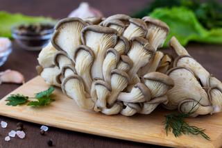 9 przepisów na grzyby boczniaki. Co zrobić z tych zimowych grzybów?