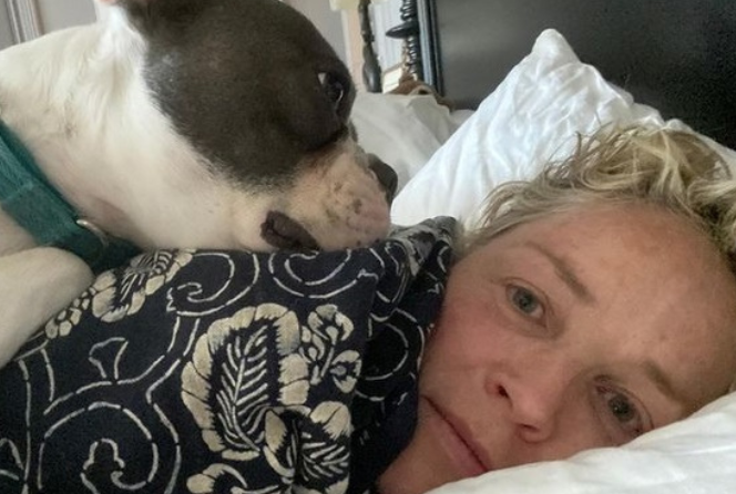 Sharon Stone poroniła 9 razy