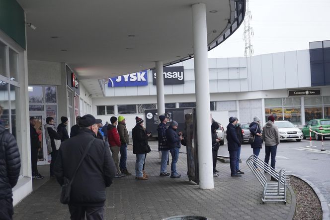 Katarzynki 2024 - wystawa autobusów przy Galerii Panorama