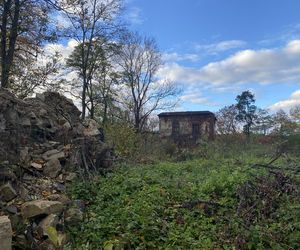 Zamek w Dąbrówce Starzeńskiej