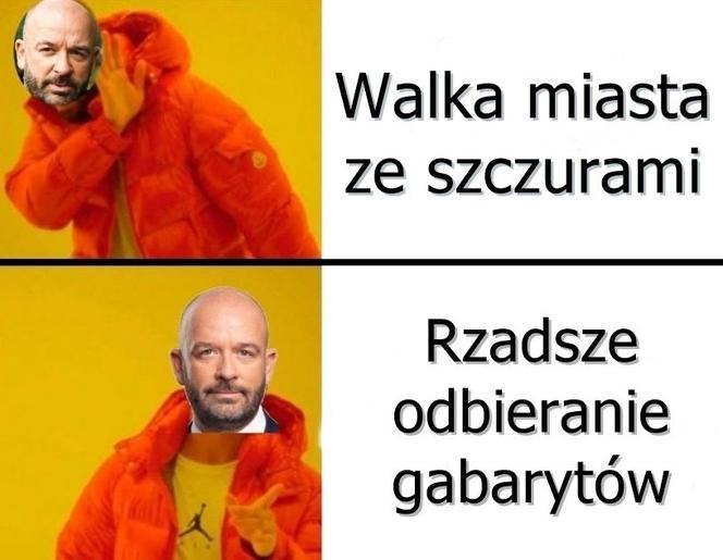 Szczury przejęły władzę nad Wrocławiem. Zobacz Najlepsze MEMY!