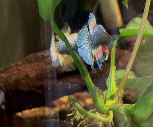 Rozmawiamy z Tomaszem Wiśniewskim, założycielem Aqua Dreams Bydgoszcz