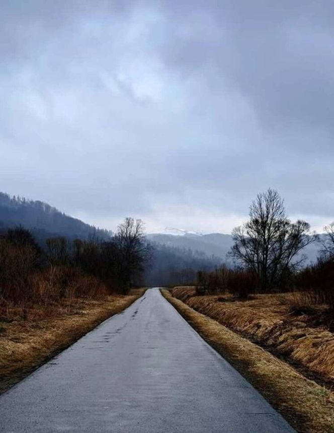 Rezerwat przyrody Sine Wiry 
