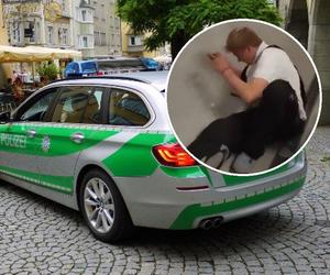 Brutalne pobicie ucznia! Ofiara była przypalana papierosem