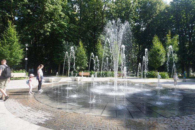 Park Miejski w Sandomierzu