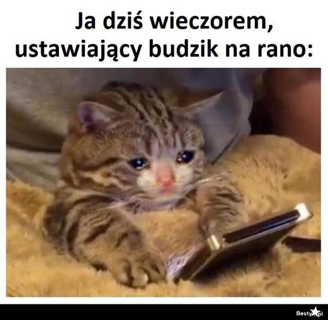 Memy o szkole 2020. Nauka u dobie koronawirusa. Żarty z nowej sytuacji 