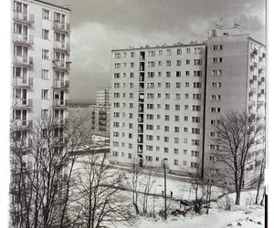 Zielona Góra w zimowej aurze. Czesław Łuniewicz uchwycił zimę kilkadziesiąt lat temu na fotografiach