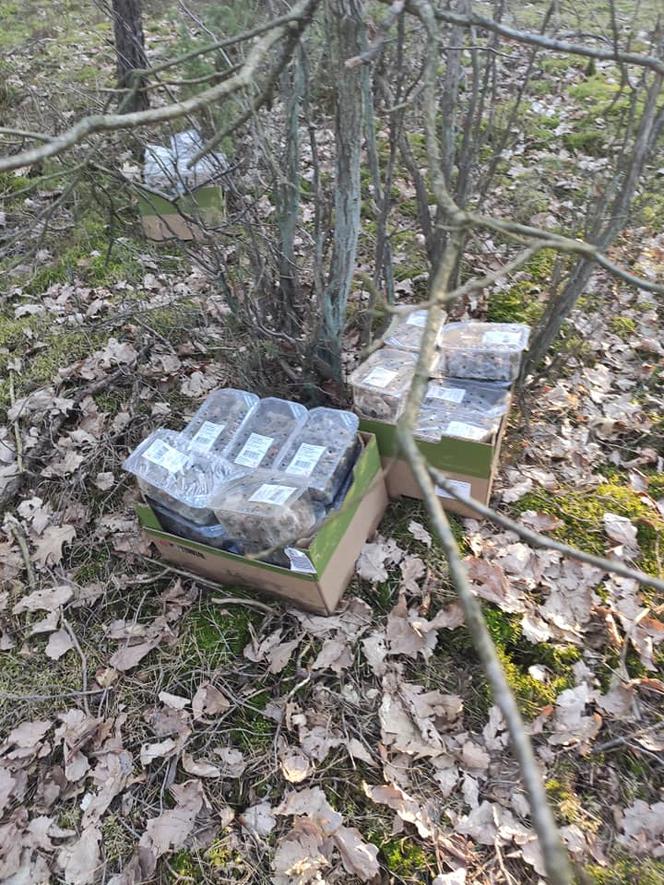 Dziesiątki pudełek winogron wyrzucono do lasu na Soplicowie