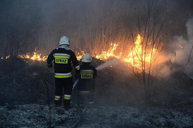 Ogromny pożar w Sosnowcu. Języki ognia było widać z daleka!