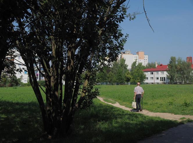 To miejsce za pół roku będzie wyglądało inaczej. Miasto przygotowuje Park Centralny na Felinie