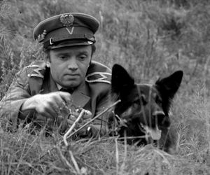 QUIZ. Seriale i filmy, w których zagrały psy. Cywil i Szarik to początek!