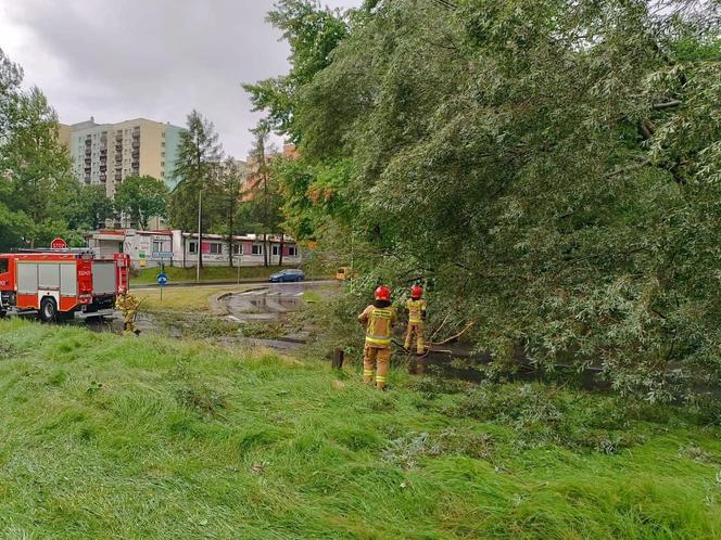 Burze i nawałnice nad Podkarpaciem. Strażacy interweniowali prawie 500 razy [ZDJĘCIA]