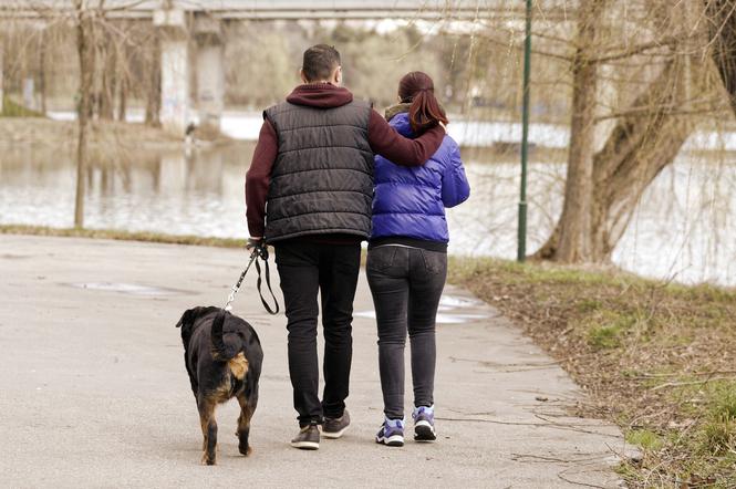 Zakaz wstępu do parków: Jaka kara grozi? Czy można spacerować?