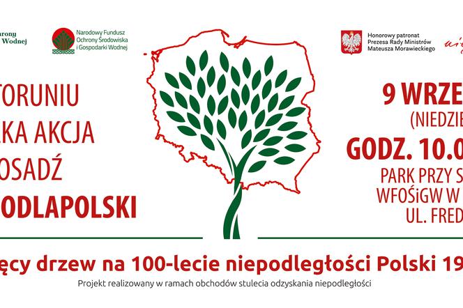 100 tysięcy drzew na stulecie odzyskania niepodległości Polski