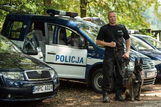 Pies Iskra bohaterem akcji poszukiwawczej. Pomógł znaleźć 41-letniego mieszkańca Brodnicy!