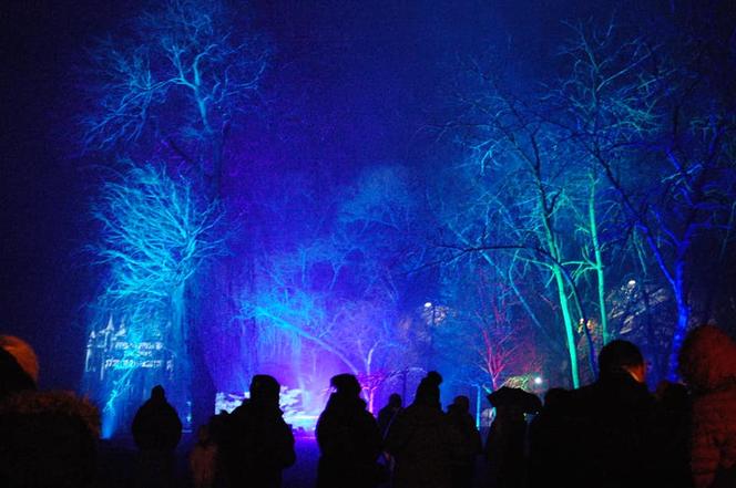 Mysłowice: Park świateł jest nielegalny? Policja interweniowała wobec mieszkańców. Prezydent miasta pisze do sanepidu