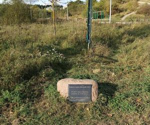 Gaj Matek i Ojców w Gdańsku zaniedbany. Miał być symboliczny park, są uschnięte drzewa i wysoka trawa